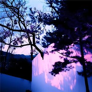 女教师大荫蒂毛茸视频
